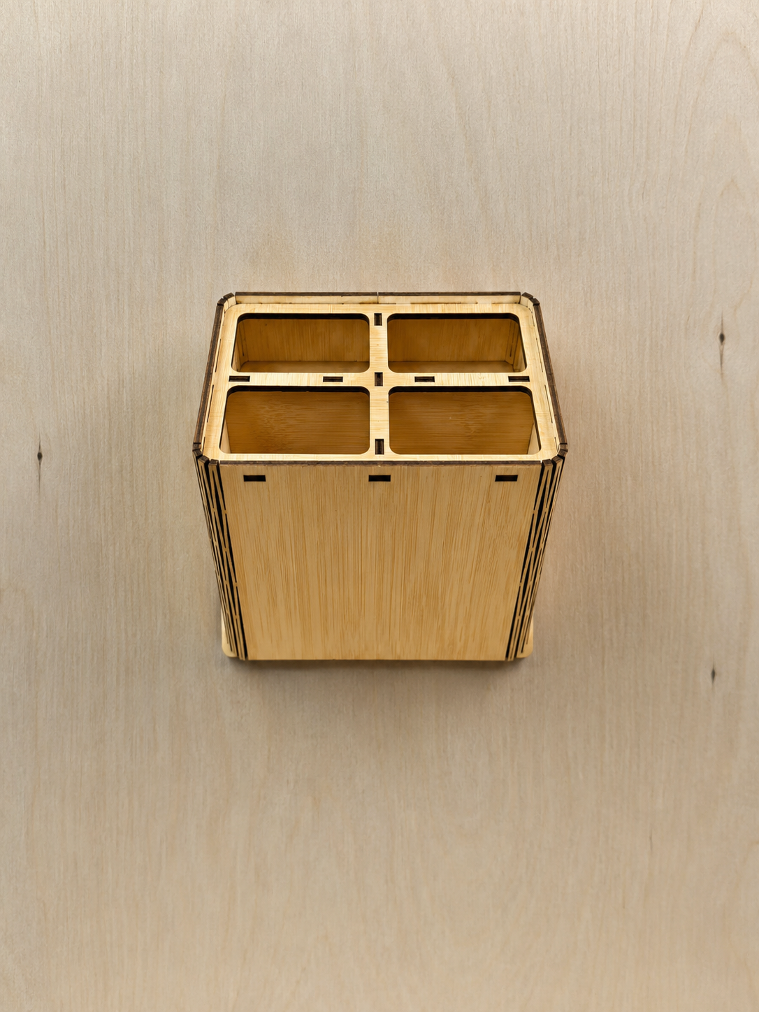 4 Compartment Remote Organizer